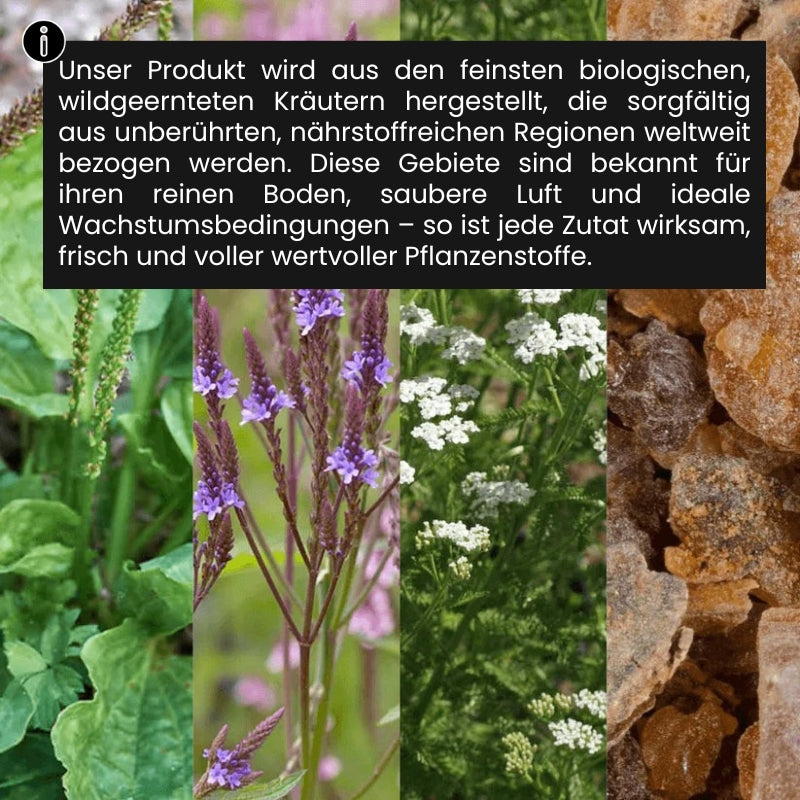 LymphoClear™ | Kräutertropfen gegen Blähungen und Schwellungen