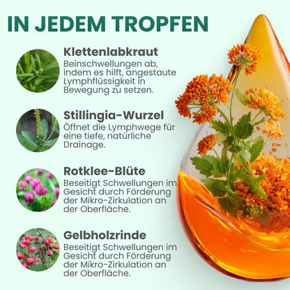 Lymphoria™ | Wellness-Tropfen für die Lymphdrainage