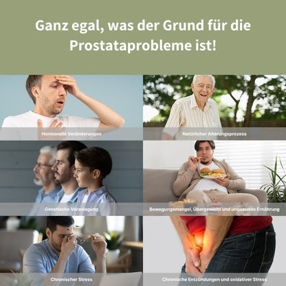 ProstaVit™ | 5 natürliche Wirkstoffe gegen Prostatabeschwerden