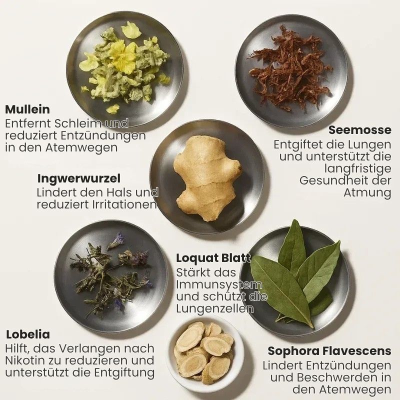 LungenRein™ Mullein Inhalator Pen | Atme tiefer und befreie deine Lungen in nur 7 Tagen