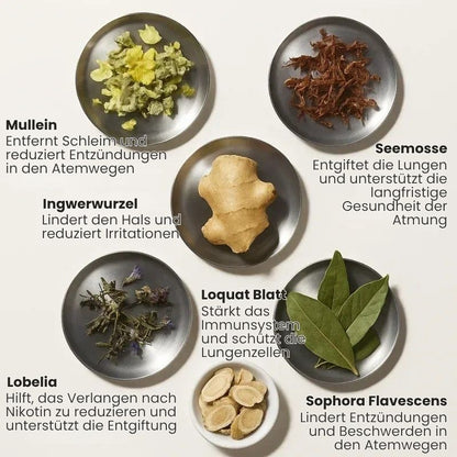 LungenRein™ Mullein Inhalator Pen | Atme tiefer und befreie deine Lungen in nur 7 Tagen