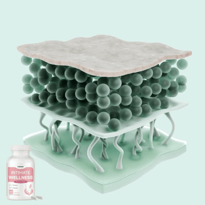 LubraCil™ Orale Kapseln | Steigern Sie die vaginale Feuchtigkeit um 63 % in nur 14 Tagen