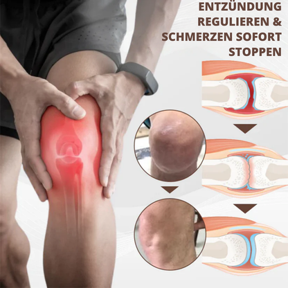 PainShield™ | 95 % Entzündung in 7 Tagen!