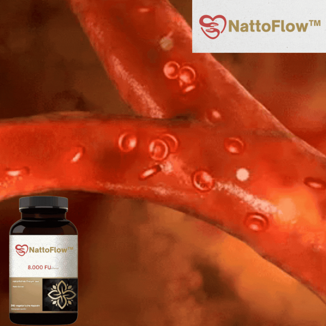 NattoFlow™ | Gesundheitskapsel